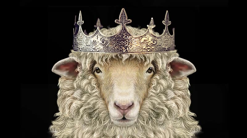 The Royal Shepherd